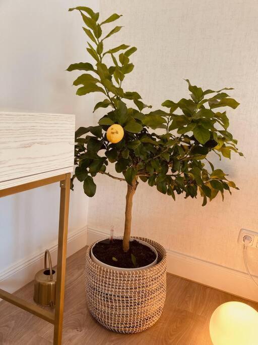 Amalfi Home - Stylish Apartment With Terrace Schönefeld Екстериор снимка